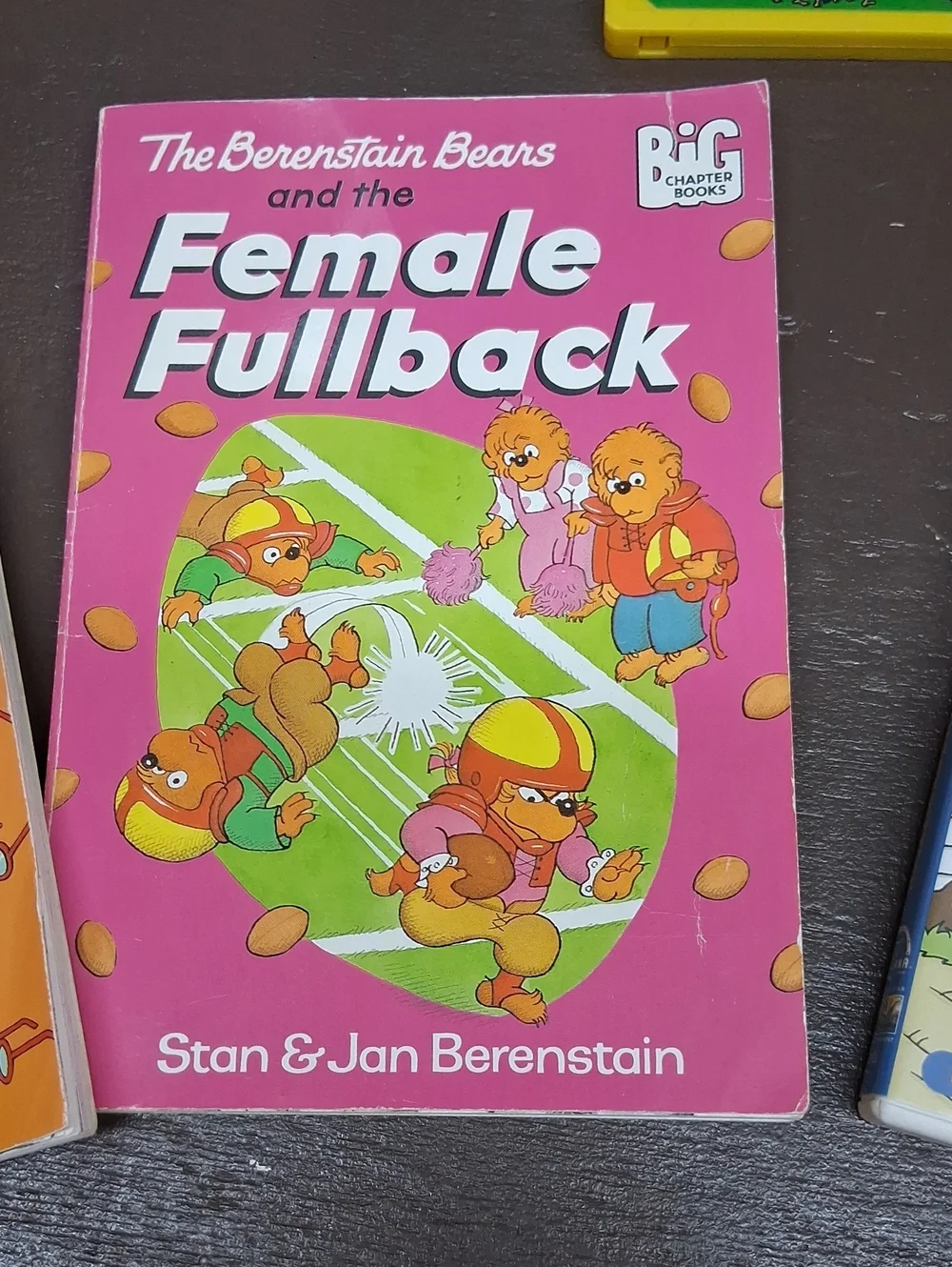 Berenstain Bears‎ Bundle 8 Books, DVD, Tape.